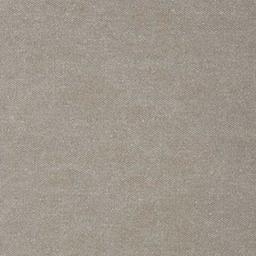 Rivet Grey Gum Swatch, Rivet