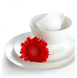 Pinzon 5-Piece Bone China Placesetting