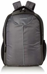 Amazon Brand - Solimo Laptop Backpack for 15.6-inch Laptops (27 litres, Grey)